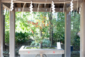 氷川神社での婚礼